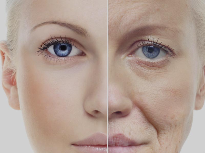 Anti-Aging Properties